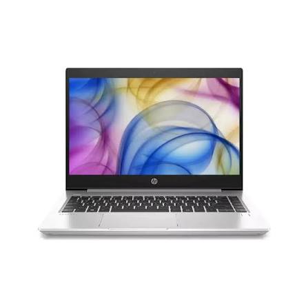 HP ProBook 445 G6 Ryzen 5 Laptop
